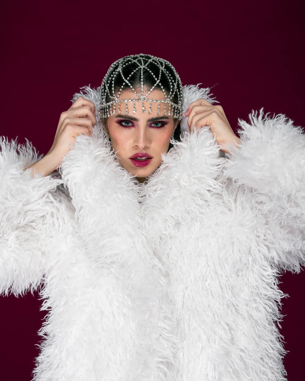 Copricapo di strass e piumino bianco, sfondo bordeaux, in studio.